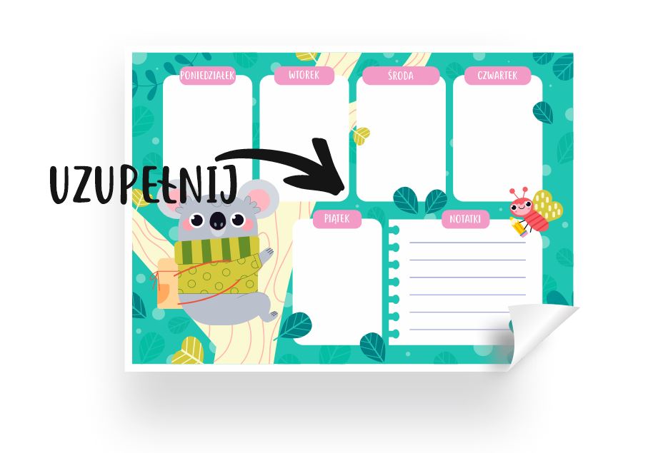 PLAN LEKCJI (WZÓR 3) FORMAT A4 Ponpon. Toys